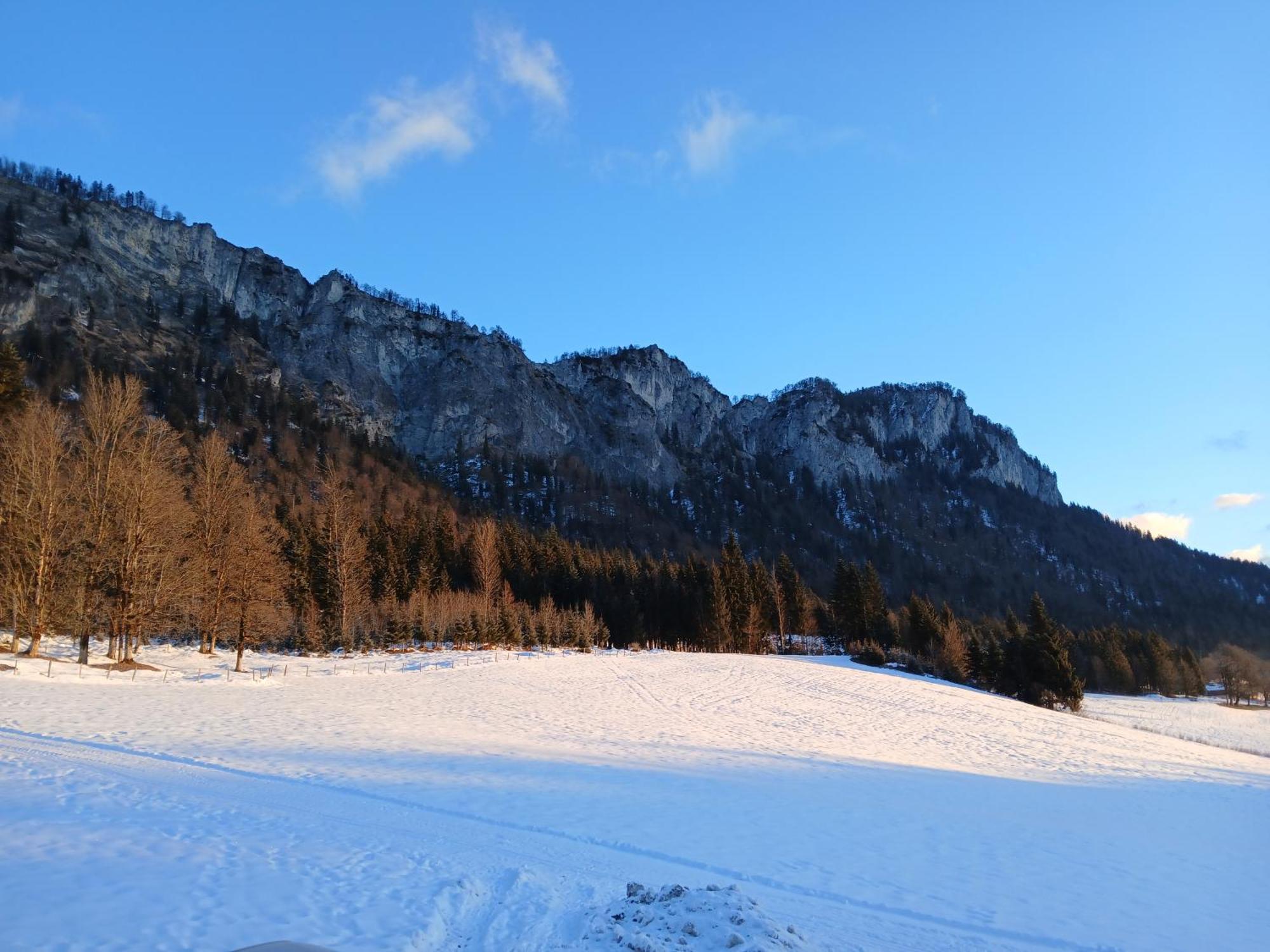 Ferienwohnung Maurerhof Sankt Johann in Tirol Bagian luar foto