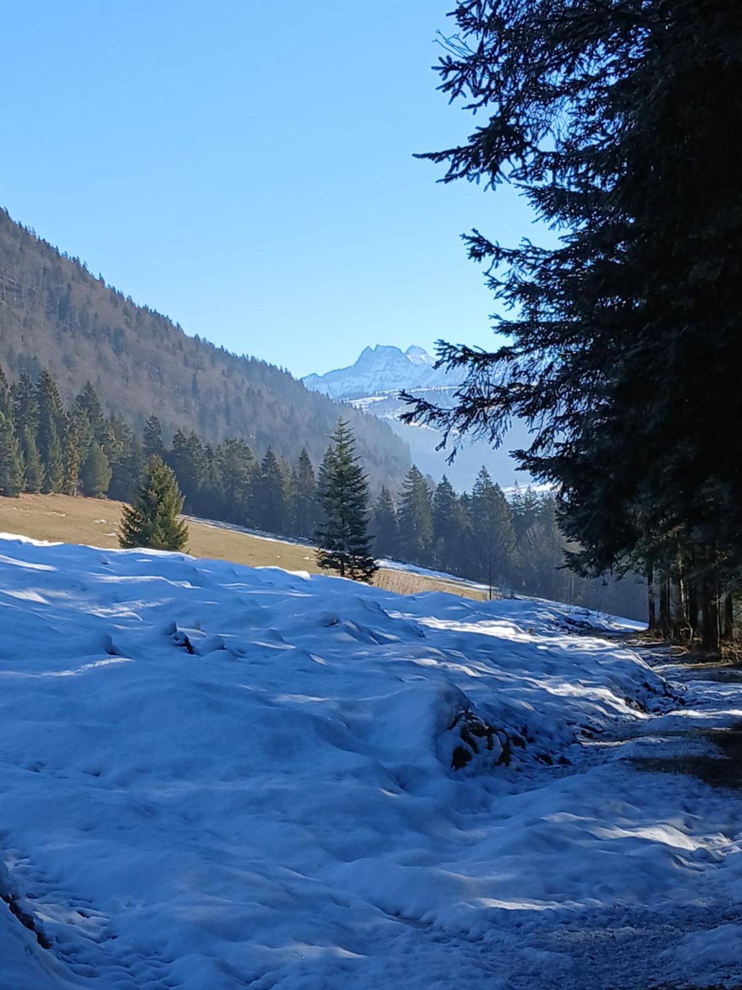 Ferienwohnung Maurerhof Sankt Johann in Tirol Bagian luar foto